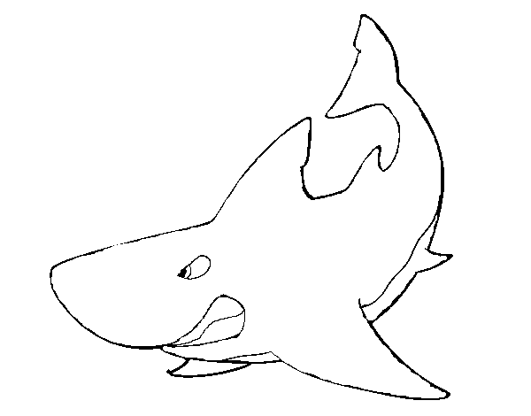 Angry shark coloring page