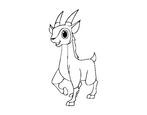 Antelope coloring page
