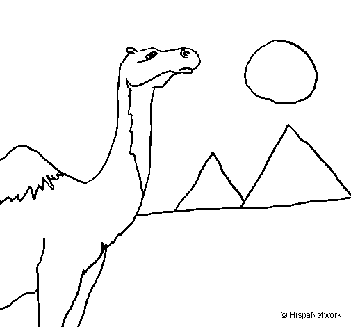 Camel coloring page