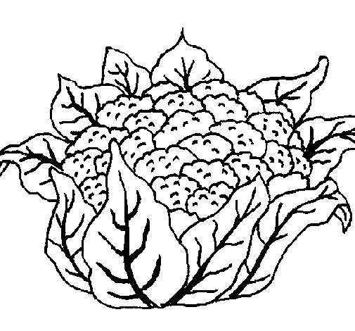 cauliflower coloring page