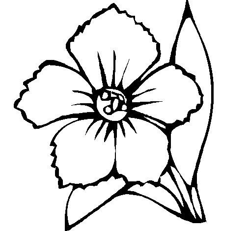 Flower 4a coloring page