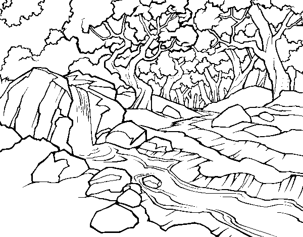 Forest landscape with a river coloring page