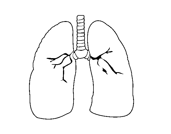 Lung coloring page