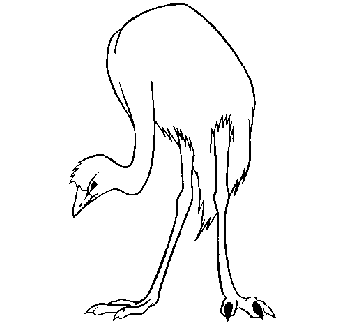 Ostrich coloring page - Coloringcrew.com