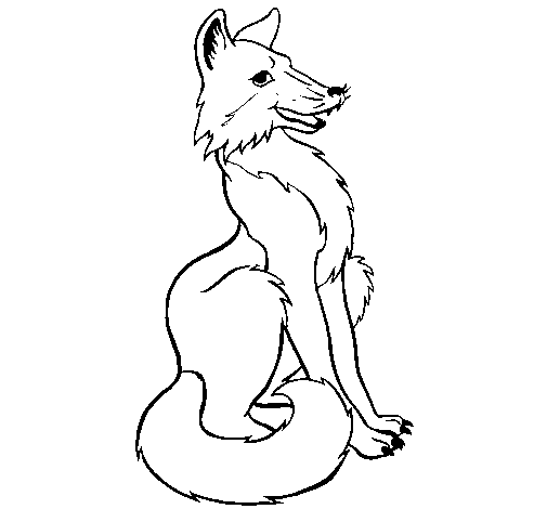 Red fox coloring page