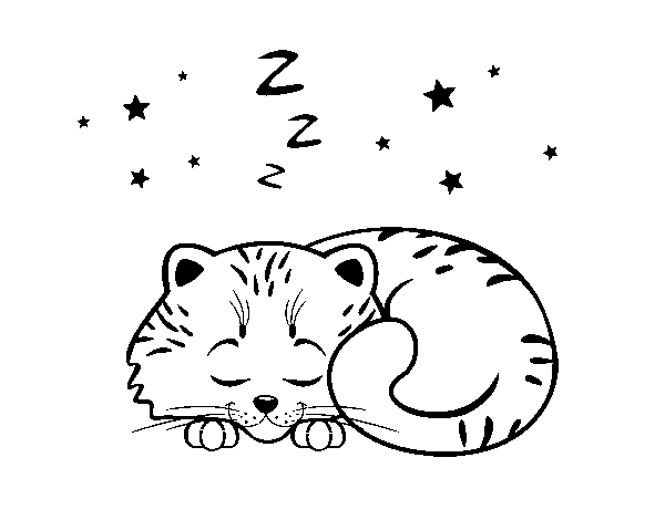 Sleeping kitten coloring page