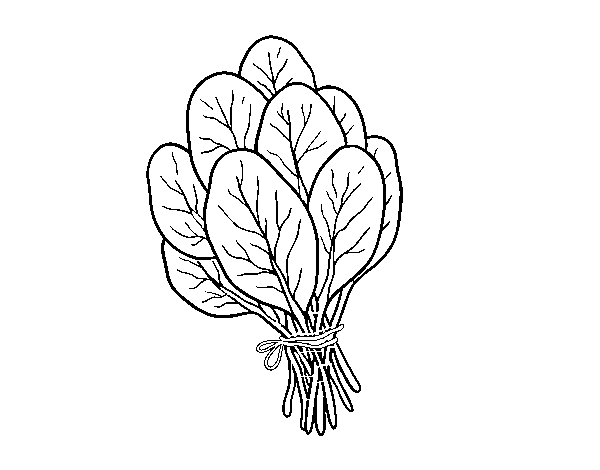 Spinach coloring page