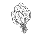 Spinach coloring page