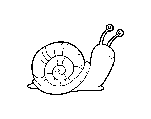 The snail coloring page