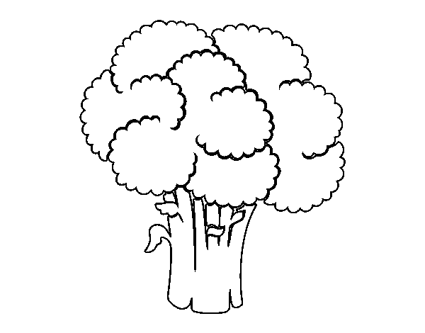 Vegetables broccoli coloring page