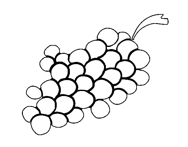 Wine grapes coloring page