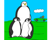 Coloring page Penguin family painted byJDWR