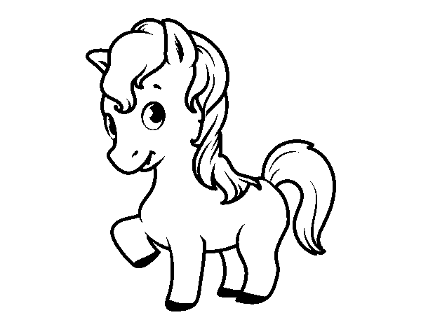 A baby foal coloring page