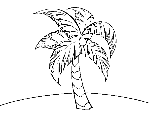 A palm tree coloring page