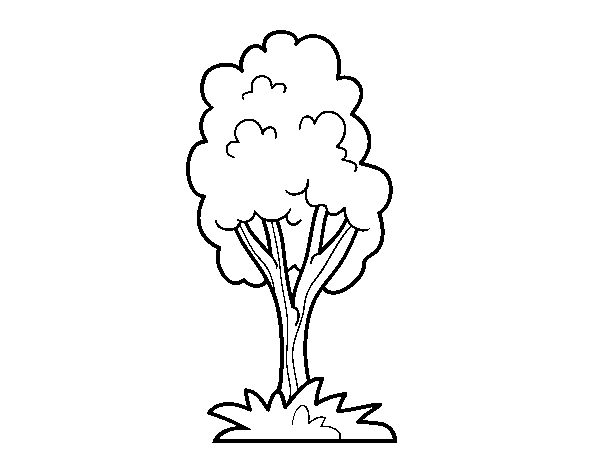 A park tree coloring page