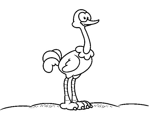 An ostrich coloring page