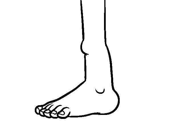 Ankle coloring page