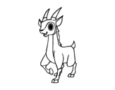 Antelope coloring page