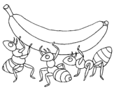 Ants with banana coloring page