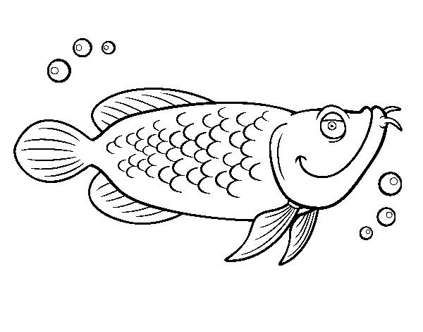 Atlantic cod coloring page
