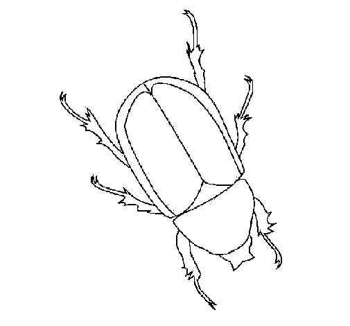 Beetle coloring page