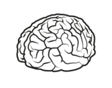 Brain coloring page