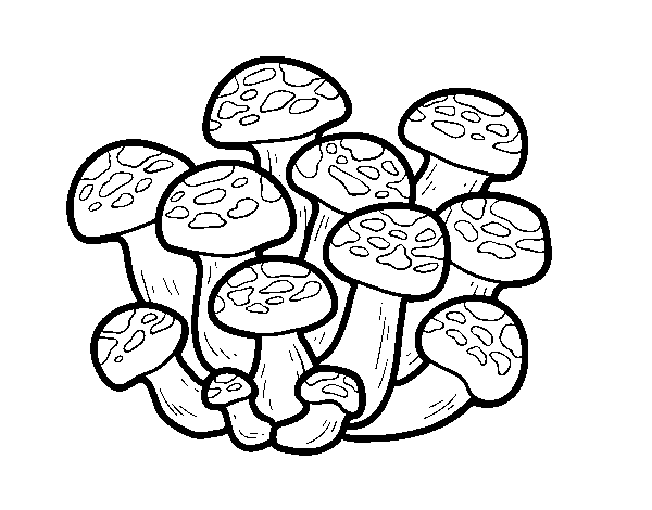 Bunashimeji mushroom coloring page