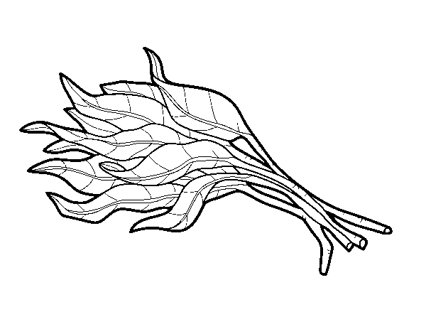 Bunch of spinach coloring page