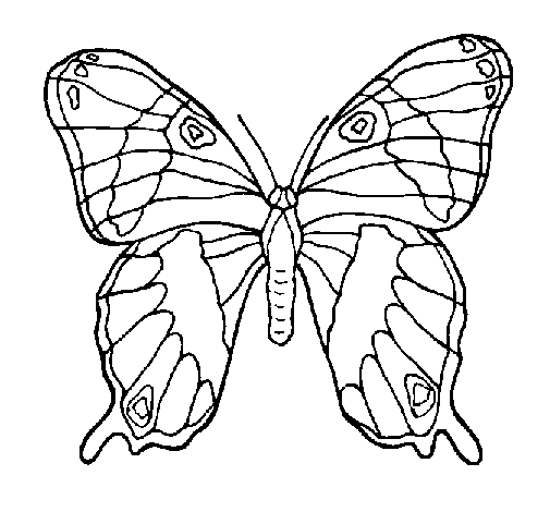 Butterfly 7a coloring page