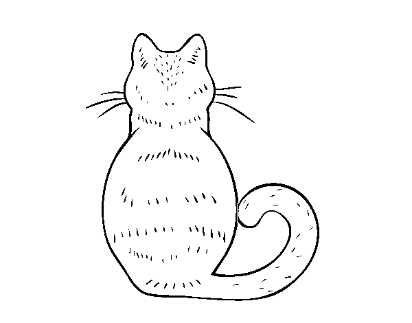 Cat back coloring page
