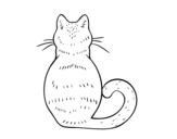 Cat back coloring page
