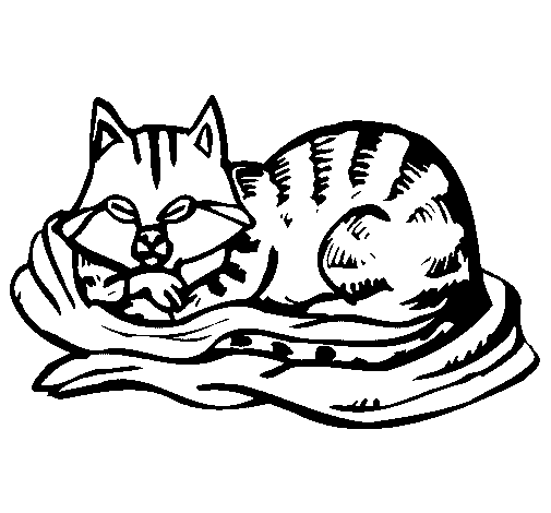 Cat in bed coloring page