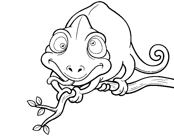 Chameleon on branch coloring page