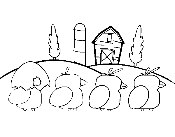 Chicks coloring page