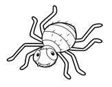 Childish spider coloring page