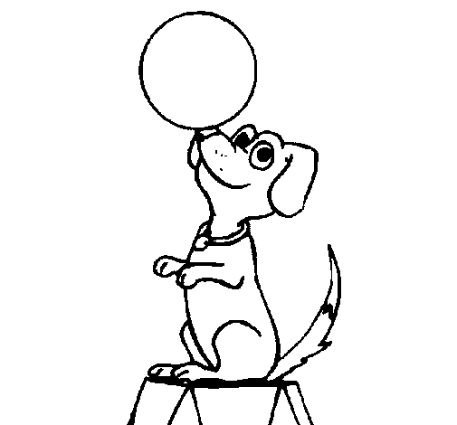 Circus dog coloring page