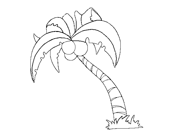 Coconut palm tree coloring page