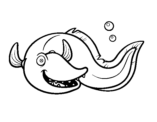Conger coloring page
