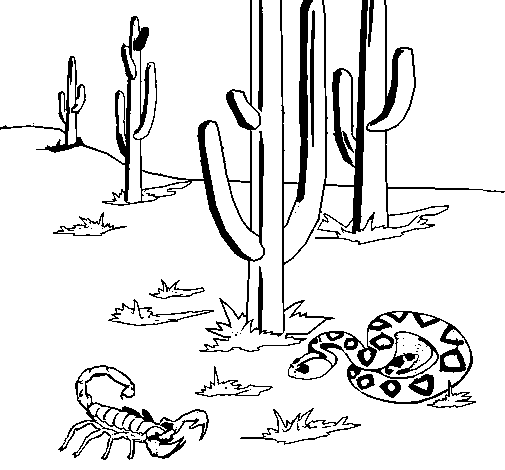 Desert coloring page