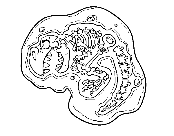 Dinosaur fossil coloring page