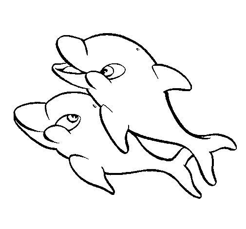 Dolphins playing coloring page