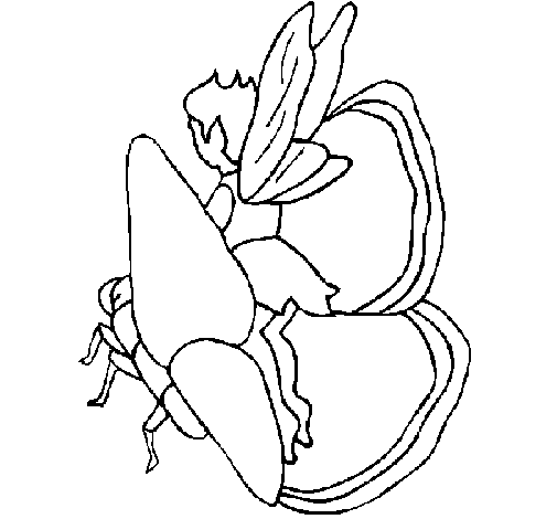 Fairy and butterfly coloring page