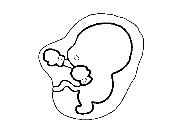 Fetus coloring page