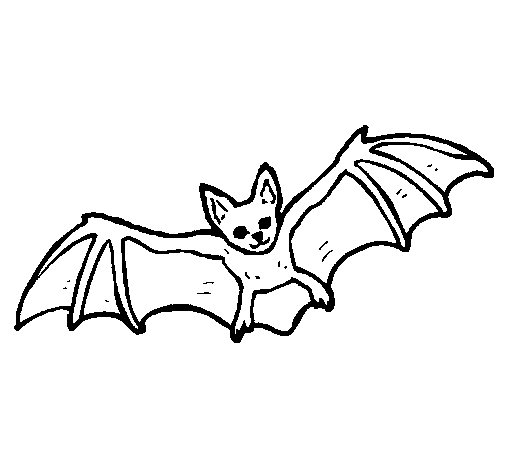 Flying bat coloring page