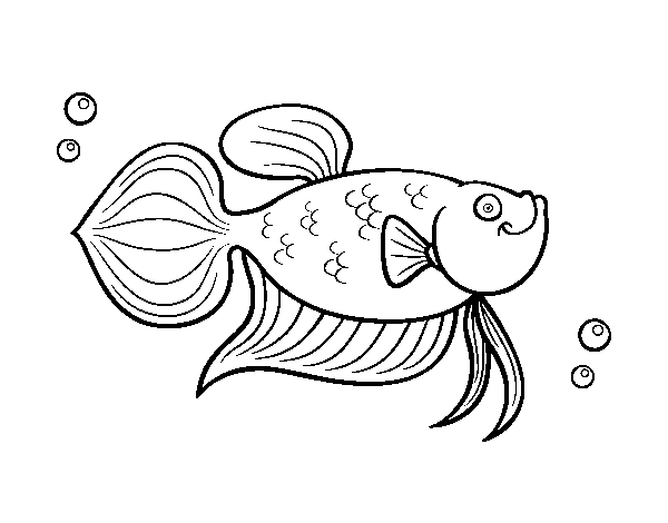 Goldfish coloring page - Coloringcrew.com
