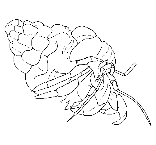 Hermit crab coloring page