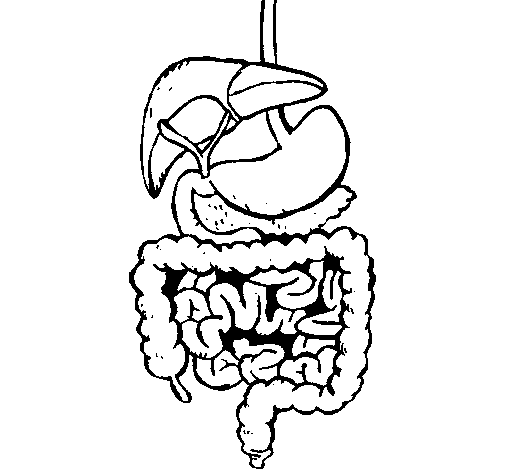 Intestines coloring page