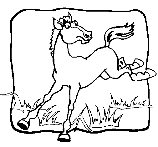 Kicking horse coloring page