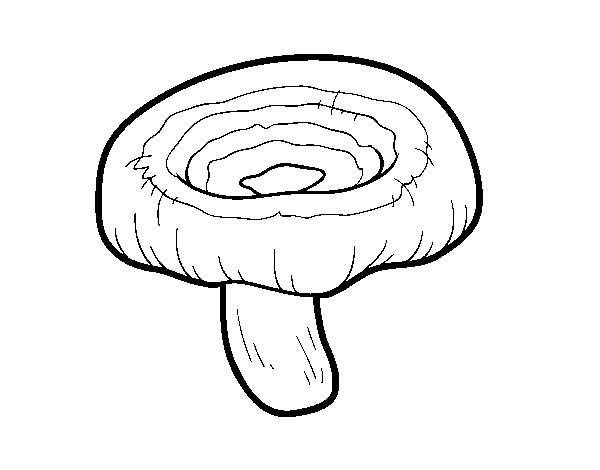 lactarius torminosus mushroom coloring page