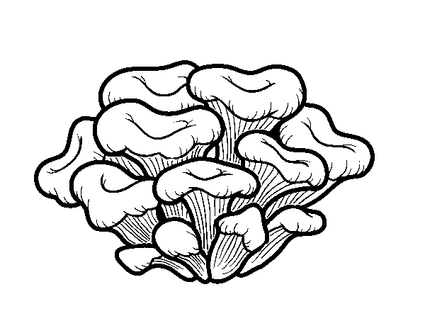 Maitake mushroom coloring page